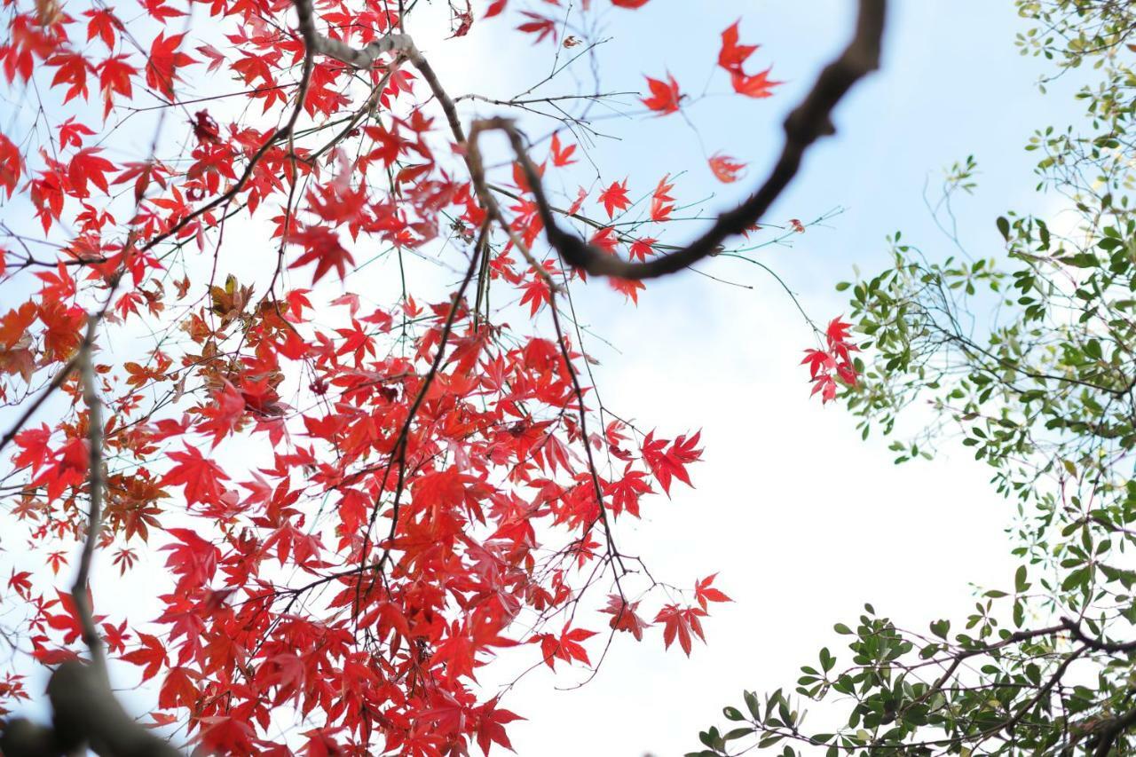 Ryokan Tanoya Quioto Exterior foto